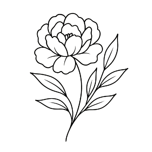Right Illustration